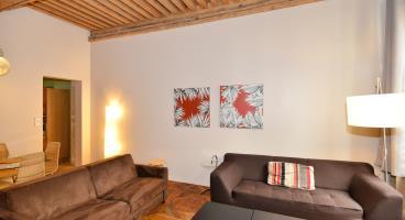 Appart Ambiance - Beaujolais Lyon Exterior foto
